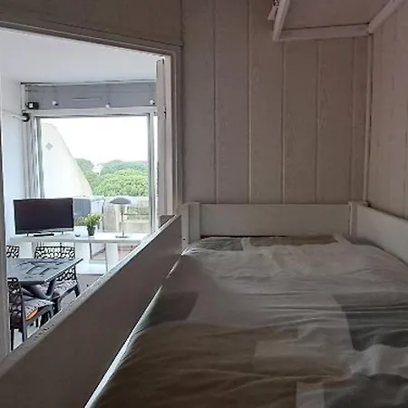 Apartamento Climatisé, Piscine, Parking, Animaux Admis, 350m - Fr-1-250-62 *