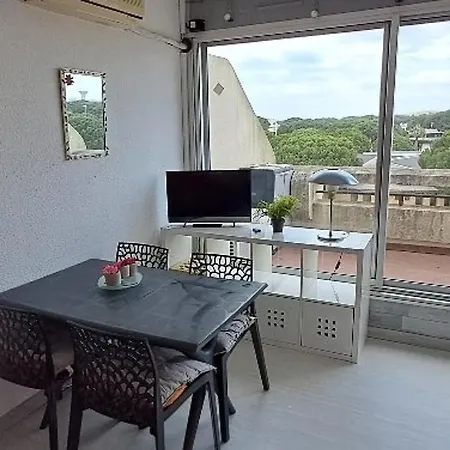 Apartment Climatise, Piscine, Parking, Animaux Admis, 350m - Fr-1-250-62