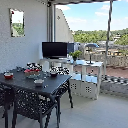 Apartment Climatise, Piscine, Parking, Animaux Admis, 350m - Fr-1-250-62