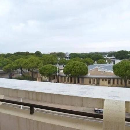 Climatise, Piscine, Parking, Animaux Admis, 350m - Fr-1-250-62 Apartment