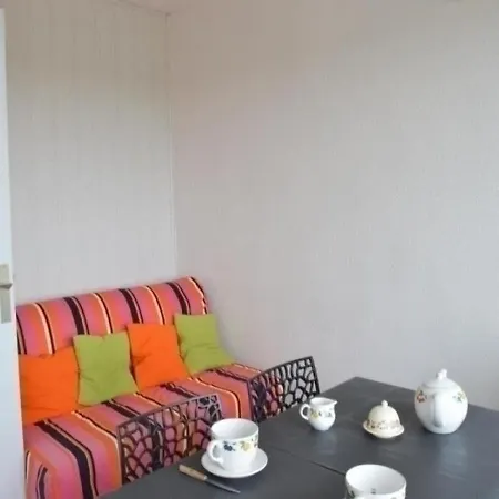 Climatise, Piscine, Parking, Animaux Admis, 350m - Fr-1-250-62 Apartment